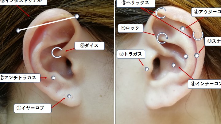 CDATA[
各種ピアスの刺し方とその役割
ピアスは、さまざまなスタイルやデザインが存在し、それぞれに異なる刺し方と役割があります。私たちは、このセクションで代表的なピアスの種類とその特徴を詳しく見ていきます。各種ピアスには、装飾的な要素だけでなく、身体の特定の部位における個性や表現を引き出す重要な役割もあります。
ピアスの刺し方
- ローブピアス
最も一般的なタイプで、耳たぶに位置します。針を垂直に通すことで簡単に装着でき、安全性も高いです。初心者にもおすすめです。
- ヘリックスピアス
耳の外側部分(軟骨)に開けられるため、少し技術が必要です。この場所は痛みを伴うことがありますが、その魅力はユニークなスタイルを提供します。
- トラガスピアス
耳の前面、小さな突起部分に位置します。この部位は比較的小さいですが、アクセサリーとしての存在感があります。刺す際には慎重さが求められます。
- ダイスパイプ
このタイプは通常、一つ以上の穴を持ち、連結している形状になります。それぞれ異なるデザインや大きさで手元から目立つ印象を与えます。
各種ピアスの役割
- ファッションステートメント: ピアスは自己表現や個性を示す重要な要素となります。
- 文化的・宗教的意義: 一部地域では特定の形状や位置によって文化的または宗教的意味合いがあります。
- 社会的アイデンティティ: 特定のスタイルが流行することで、それに合わせた選択肢が増え、人々間で共通したアイデンティティを形成することにも寄与しています。
このように、多様な種類とそれぞれ異なる刺し方によって得られる効果について理解することは、自分自身への投資とも言えるでしょう。我々は自分自身のスタイルや好みに合った選択肢を見つける手助けとなる情報提供につとめています。
感染症を防ぐための適切なケア方法
ピアスを開けた後は、感染症を防ぐために適切なケアが不可欠です。耳の皮膚は敏感であり、特に刺した直後は傷口が細菌やウイルスにさらされるリスクがあります。そのため、日常的なケアと注意深い管理が必要です。以下に、感染症予防のための具体的な方法を示します。
清潔を保つこと
- ピアス穴周辺を毎日清潔に保ちましょう。ぬるま湯と石鹸で優しく洗浄し、その後よく乾燥させます。
- アルコールや過酸化水素など刺激の強い消毒剤は避けてください。これらは皮膚を乾燥させたり、炎症を引き起こす可能性があります。
適切な使用製品
- 専用のピアスケア用品を使うことがおすすめです。例えば、塩水溶液(生理食塩水)や医療用の抗菌クリームなどが有効です。
- 使用する際には、手指も必ず清潔にしてから行ってください。
定期的なチェック
- ピアス穴周辺に赤みや腫れ、痛みがないか定期的に確認しましょう。また、不快感や異常を感じた場合にはすぐに専門家に相談してください。
- もし分泌物や匂いが気になる場合も早めの対処が大事です。
このような基本的なケア方法によって、ピアス穴の感染症リスクを低減し、安全で快適なおしゃれライフを楽しむことができます。私たちは皆さんが自分自身のスタイルと健康とのバランスを見つけられるようサポートしています。
ピアス穴が閉じる理由と予防策
ピアス穴が閉じる原因は、様々な要因によって引き起こされることがあります。特に、ピアスを開けた後のケアが不十分であったり、長期間ピアスを外している場合には、そのリスクが高まります。また、個人の体質や皮膚の状態も影響することがあります。そのため、私たちはこれらの要因を理解し、それに基づいて適切な予防策を講じることが重要です。
主な理由
- 感染症や炎症:ピアス穴周辺に細菌感染や炎症が生じると、身体はその部分を治癒しようとします。この過程で穴が塞がってしまうことがあります。
- 皮膚再生:耳の皮膚は自然治癒能力があり、時間が経つにつれて穴自体が閉じてしまう場合があります。特にピアスを開けたばかりの場合、この現象は顕著です。
- 物理的要因:何らかの衝撃や摩擦によっても、ピアスホールは傷つき閉じる可能性があります。
予防策
- 定期的にピアスを着用する:長期間外さずに使用することで、穴を維持する助けになります。ただし、新しく開けたものについては医師から指示された期間内は外さないよう注意してください。
- 適切なケア:清潔な状態を保ちつつ、必要に応じて消毒や保湿剤などで手入れを行います。これにより炎症リスクも低減できます。
- 専門家への相談:万一異常(赤みや腫れ)が見られる場合にはすぐに専門家へ相談し、安全対策を講じましょう。
このような基本的な理解と対策によって、自分自身の健康とスタイルとのバランスを取りながら、安全で快適なおしゃれライフを楽しむことができるでしょう。
![